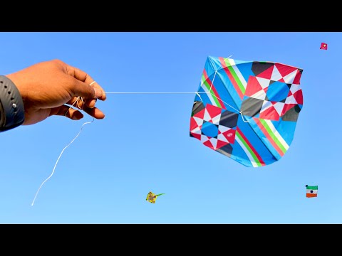 Kite Catching On Roof | 3 Panni Ki Patang Looti | Kite Looting | Kite