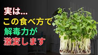 60代健康｜ブロッコリースプラウトの栄養を最大限に引き出す食べ方！血管・脳を守る簡単デトックス習慣🥦✨