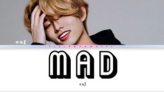 Download lagu eaJ - MAD - LYRICS VIDEO mp3