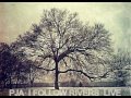 Plain Jane Automobile - I Follow Rivers 