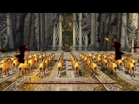 50 CABRAS DE RAYO VS MORGOTT ELDEN RING