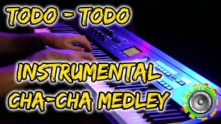 Download lagu BEST TODO - TODO INSTRUMENTAL CHA - CHA - ONE MAN BAND mp3