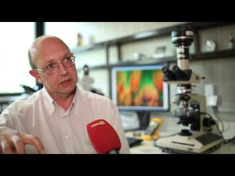 Pharmazie: Polymorphie von Arzneistoffen