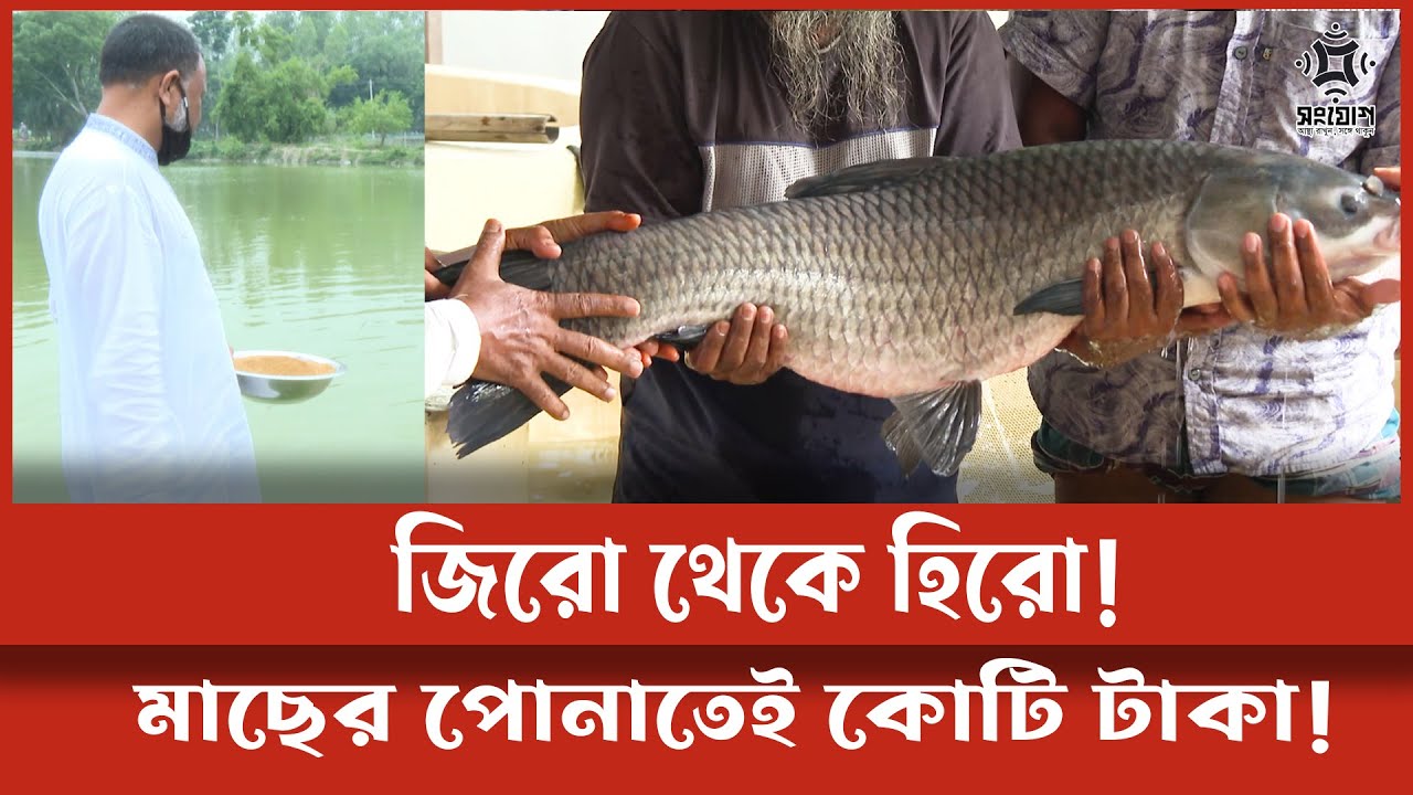 মাছের পোনা বিক্রি করে কোটিপতি