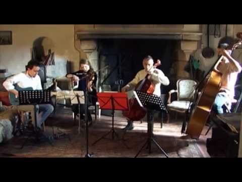 So Nice ( Tomasz Stańko ) Christophe Pays string quartet