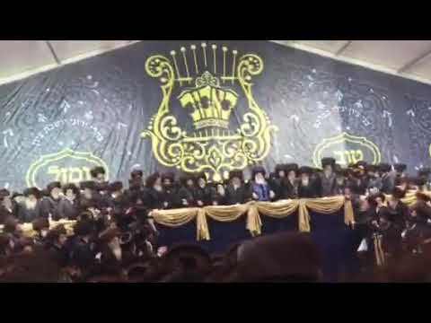 Bobov wedding rebbe dancing with Monsey