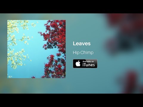 Leaves - Hip Chimp