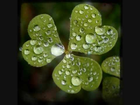 Christian Miller - The Rain Song (Led Zeppelin Cover)