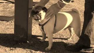 Gefunden auf der Autobahn