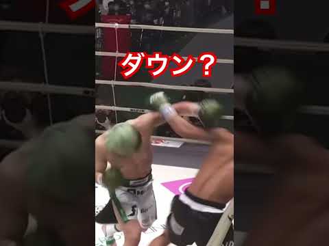 これダウン？ #格闘技 #ブレイキングダウン #キックボクシング #fighter #kickboxing #那須川天心