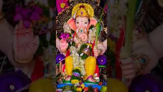 Download lagu Jai ganesh🙏#ganapathy #ganesh #ganapatibappamorya #song #love #devotionalhits mp3