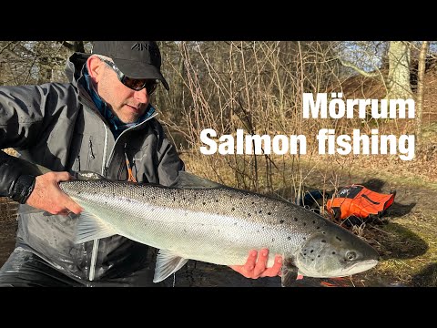 Mörrum Salmon fishing