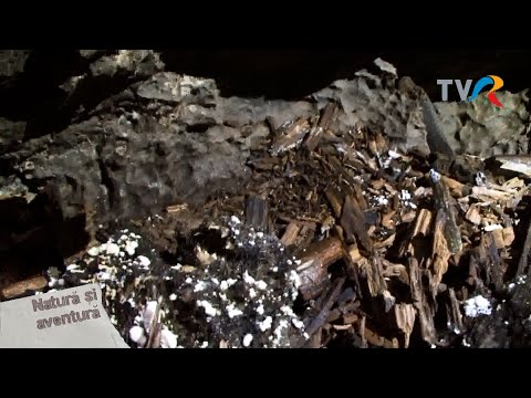 Parcul Național Munții Rodnei