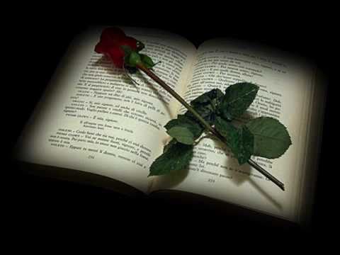 Fim De Amor video
