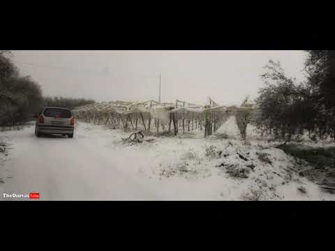 Arriva Burian, neve da record