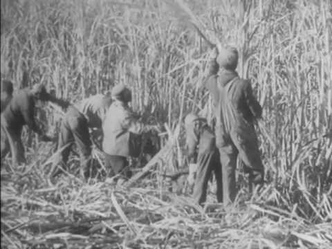 Cane Sugar (1939)