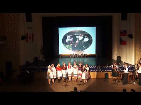 Den vzájemnosti 2017  koncert muzik CM Fogáš