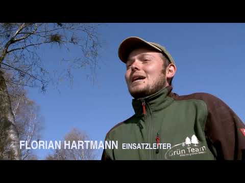 Grün Team - Leistungsüberblick für kwf Tagung Ultra HD