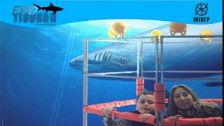 DIA 2 Expo Tiburon292