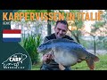 From Spawning To A Fantastic Catch In Italy Carp Adventure At Boschetto Jungle Lake