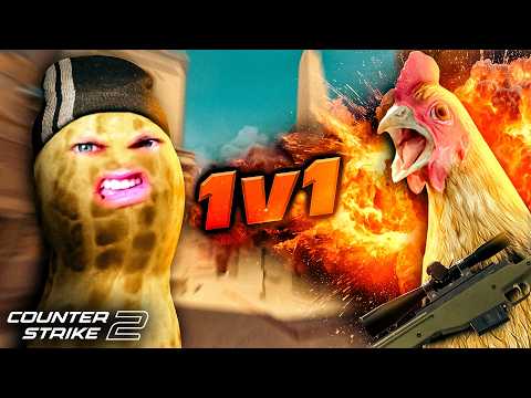 Peanut Plays Chicken | CS2
