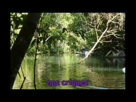 Faire du paddle en Guyane