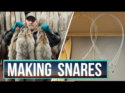 HOW TO MAKE A COYOTE SNARE