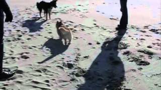 [midas] Ameland 2011