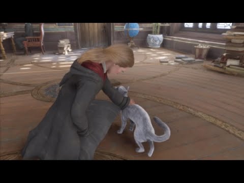 Did I pet EVERY kitty in HOGWARTS LEGACY?