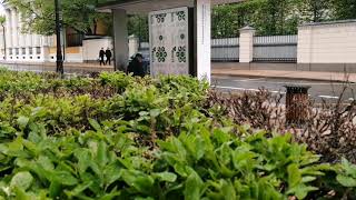 Fall Harder. Skylar Spence