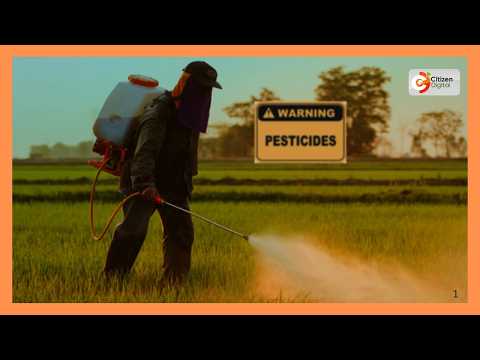 Wang’ombe awaonya wakulima dhidi ya vyakula vilivyokuzwa kwa kemikali hatari