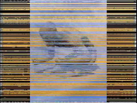 Eles Dormem - Ronaldo Arco