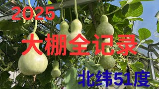 蔬菜大棚一年全记录 加拿大山脚郡 2025