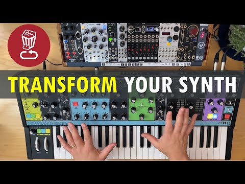 Transform your synth: 10 semi-modular pairing ideas shown with Moog Matriarch