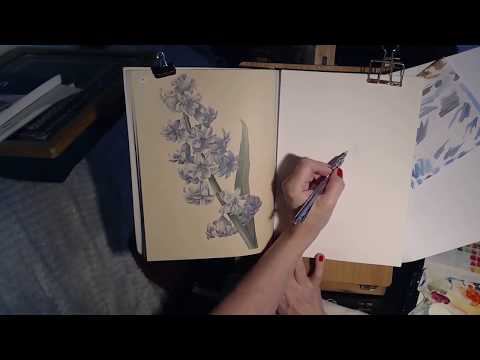 Windsor and Newton water colours in the Beauties of Nature colour Book