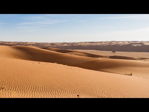 Уроки пустыни...HASD Fakel. 25.01.2020.г