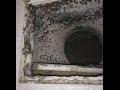TOXIC MOLD COVER UP IN APTS GULFPORT AND ...