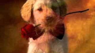 Sonny Monreal - You Are The One (Video Oficial - Official video HD)