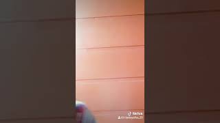 Download lagu Semua berlalu (DJ remix) mp3