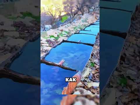 Идея, которая защищает и природу, и животных 👏