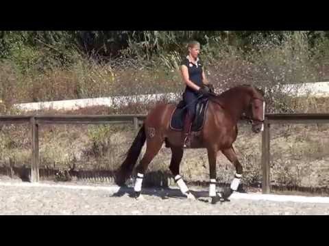 Habil do Penedo 07 16