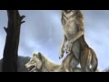 Warren Zevon - Werewolves of London (Daheen ...