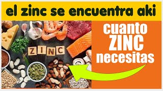 zinc alimentos que lo contienen