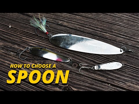 How to Choose the Right Spoon