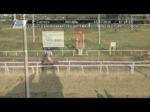 201217 c07 1° MARSALA T  SINT - FLORIDA