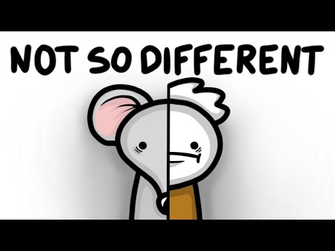 Creepy Rat Experiments That Reveal Human Nature