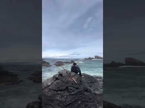 Desembocadura Río Bio Bio