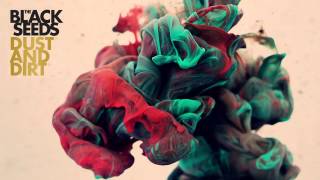 The Black Seeds - Dust and Dirt