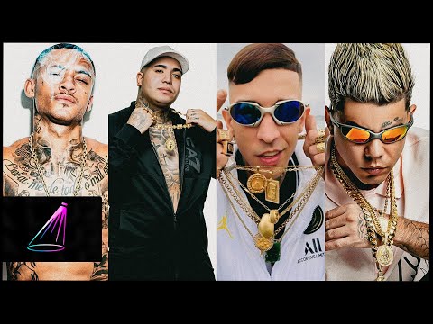 SALSEIRÃO - MC Kadu, MC Lele JP, MC Bruninho da Praia e MC Lon (Love Funk) DJ Alladin