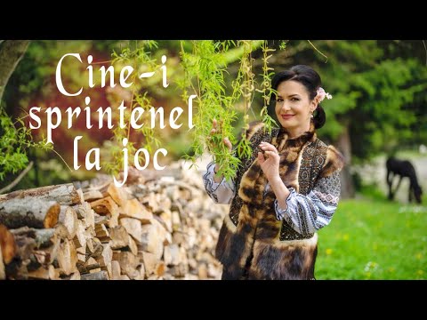 Viorica Macovei - Cine-i sprintenel la joc
